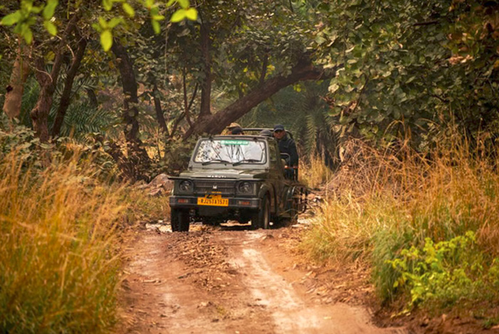 Jeep Safari