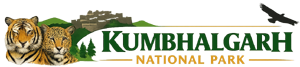 Kumbhalgarh Wildlife Sanctuary